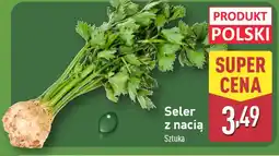 ALDI Seler z nacią oferta
