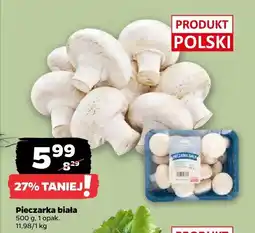 Netto Pieczarka biała Netto oferta