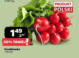 Netto Rzodkiewka Netto oferta