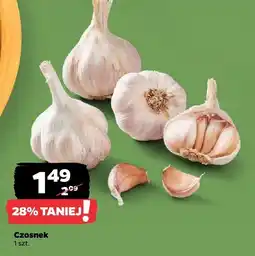 Netto Czosnek Netto oferta
