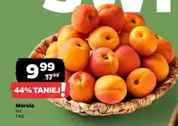 Netto Morela Netto oferta