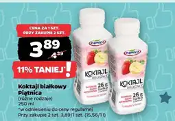 Netto Koktajl białkowy Piątnica oferta