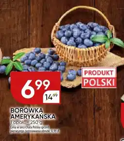 Chata Polska Borówka amerykańska Chata Polska oferta