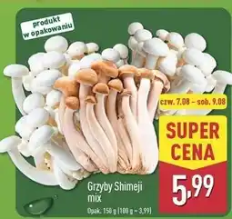 ALDI Grzyby shimeji brązowe oferta