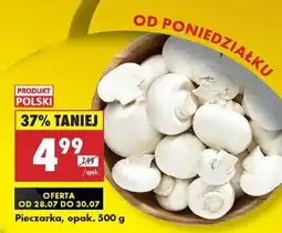 Biedronka Pieczarka opak 500 g oferta