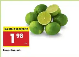 Biedronka Limonka szt oferta
