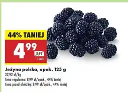 Biedronka Jeżyna polska, opak. 125 g oferta