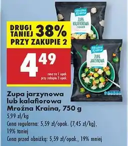 Biedronka Zupa jarzynowa lub kalafiorowa Mroźna Kraina , 750 g oferta
