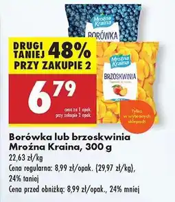 Biedronka Borówka lub Brzoskwinia Mroźna Kraina, 300 g oferta