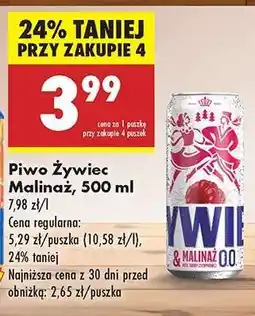 Biedronka Piwo Żywiec Malinaż, 500 ml oferta