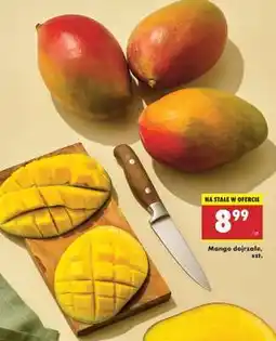 Biedronka Mango dojrzałe, szt oferta