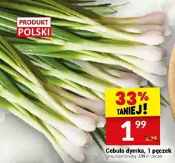 Twój Market Cebula dymka Twój Market oferta
