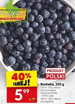 Twój Market Borówka Twój Market oferta