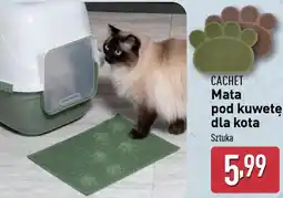 ALDI Mata pod kuwete dla kota oferta