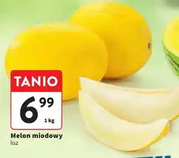 Intermarche Melon miodowy oferta