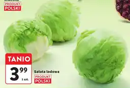 Intermarche Sałata lodowa oferta