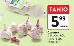 Intermarche Czosnek oferta