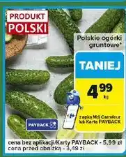 Carrefour Express Ogórek gruntowy oferta