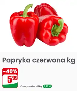 Dino Papryka czerwona kg oferta