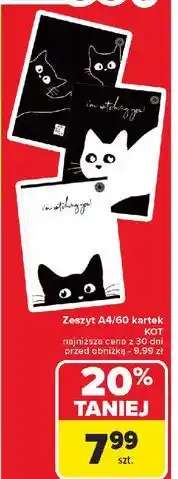 Carrefour Zeszyt a4/60 kot Ziemia Obiecana oferta