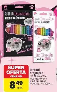 Carrefour Kredki ołówkowe sad hamster Wikam oferta