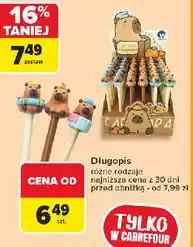 Carrefour Długopis capybara Wikam oferta