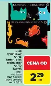 Carrefour Blok techniczny a4/10 kot Ziemia Obiecana oferta