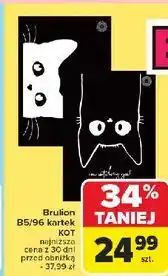 Carrefour Brulion b5/96 kot Ziemia Obiecana oferta