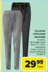 Carrefour Spodnie welurowe oferta