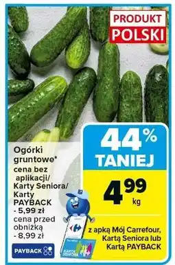 Carrefour Ogórek gruntowy oferta