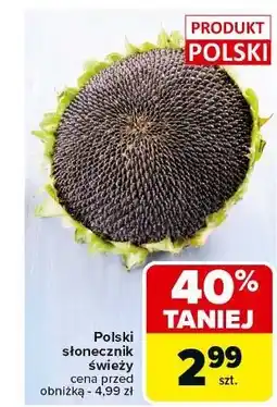 Carrefour Słonecznik polska oferta