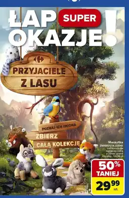Carrefour Zając Carrefour oferta