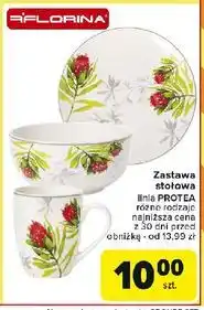 Carrefour Salaterka protea 14 cm Florina (Florentyna) oferta