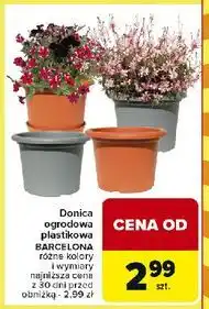 Carrefour Doniczka barcelona oferta