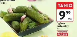 Intermarche Ogórek małosolny luz Intermarche oferta