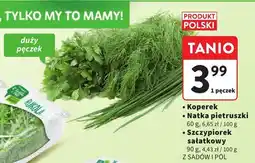 Intermarche Rukola Z SADÓW I PÓL oferta