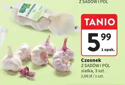 Intermarche Czosnek Z SADÓW I PÓL oferta