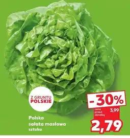 Kaufland Sałata masłowa Kaufland oferta