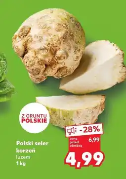 Kaufland Seler korzeń Kaufland oferta