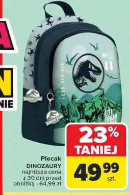 Carrefour Plecak oferta
