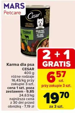 Carrefour Karma dla psa Cesar oferta