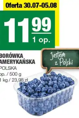 EuroSPAR Borówka amerykańska Polski oferta