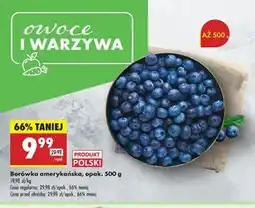 Biedronka Borówka amerykańska Katarzyna Stoparczyk oferta