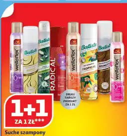 Auchan Suchy szampon do włosów nasiona konopi i kokos Batiste Naturally oferta