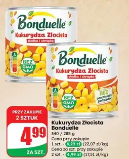 Dino Kukurydza złocista Bonduelle oferta