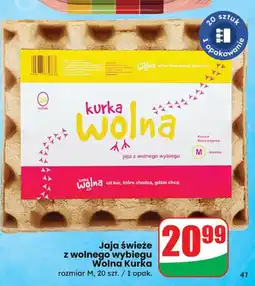 Dino Jaja świeże z wolnego wybiegu Wolna Kurka oferta