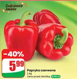 Dino Papryka czerwona Dino oferta