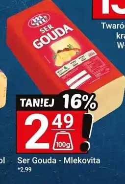 Hitpol Ser Gouda Mlekovita oferta