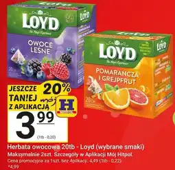 Hitpol Herbata owocowa Loyd oferta