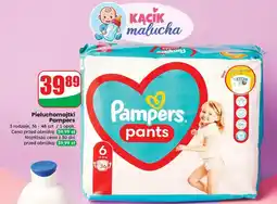 Dino Pieluchomajtki Pampers oferta